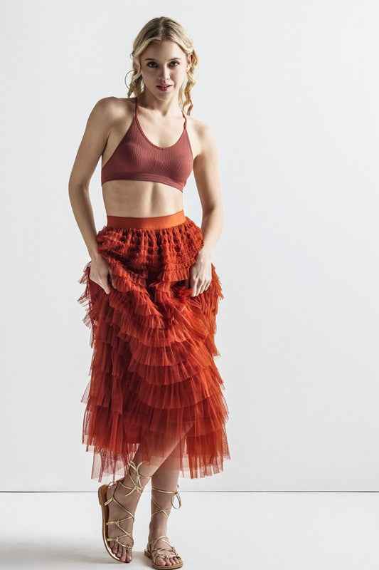Plus A-Line Tiered Layered Tulle Mesh Maxi Skirt