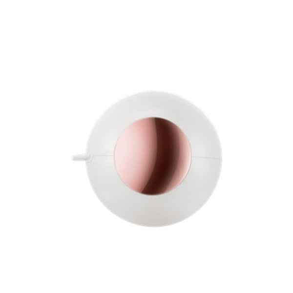 Washable Reusable Lint Remover Ball